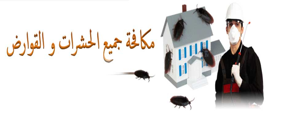 شركة مكافحة حشرات بالمدينة المنورة 0558592765 رش مبيدات مع الضمان